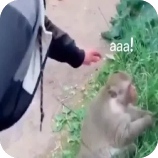 😡