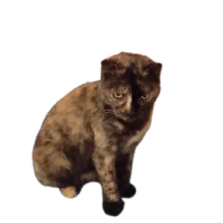 😠