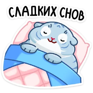 😴