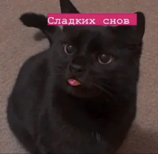 ❣