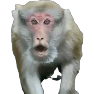 🤯