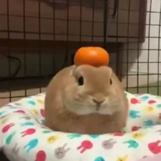 🥛