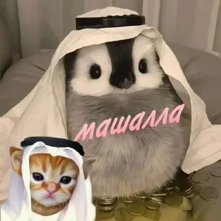🤩