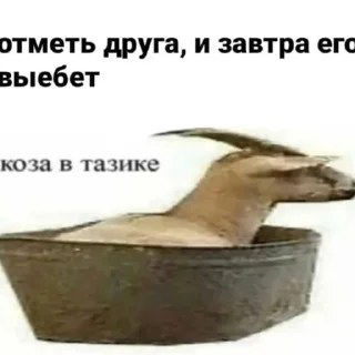 😳