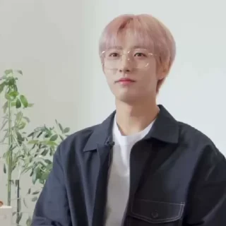 🦊