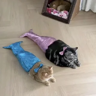 🧜