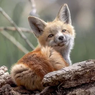 😌