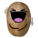 Potato