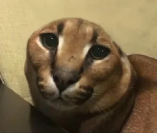 😐