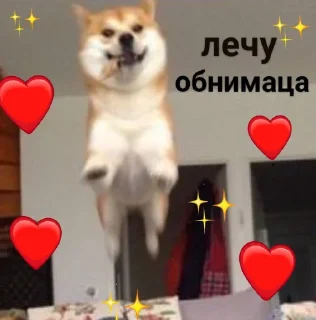 🕊