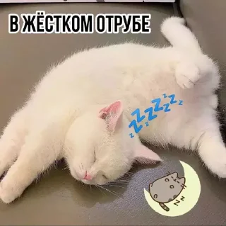 🌚
