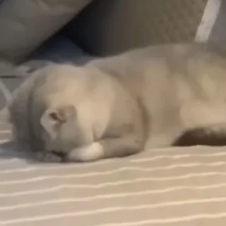 😞