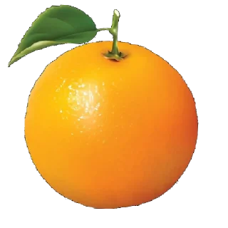 🍊