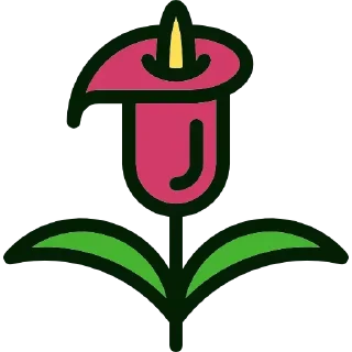 🌷