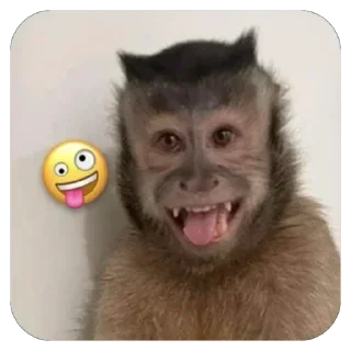 🤪