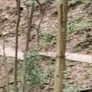 😒