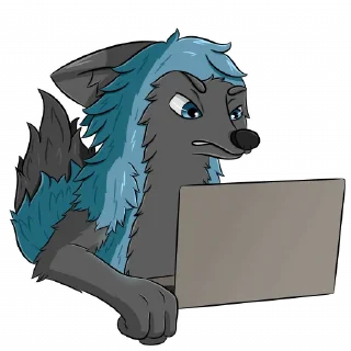 💻