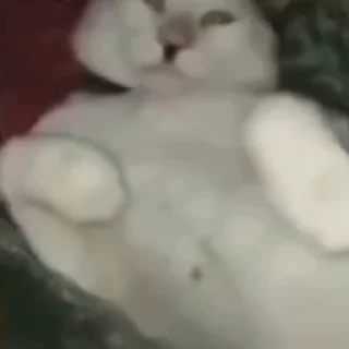 👋