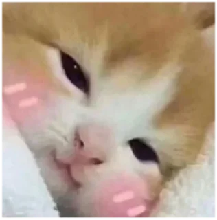 😊