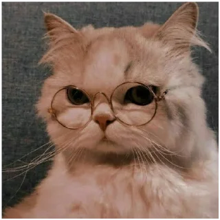 😠