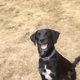 😀