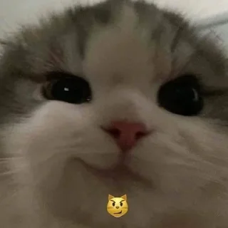 🎀