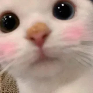 🌝