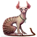 🐱