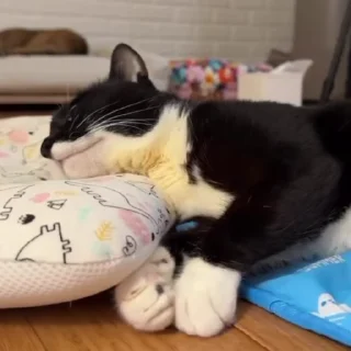 😴