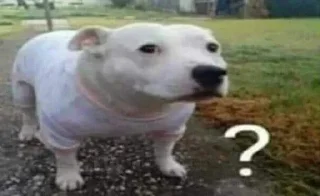 ❓
