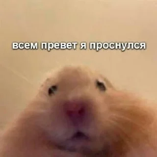 😘