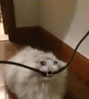 😣
