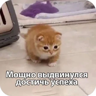 🔥