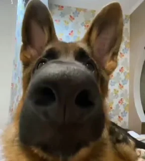 😳
