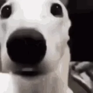 😨