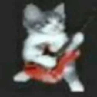🎸