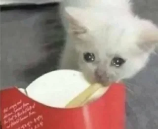 🥺