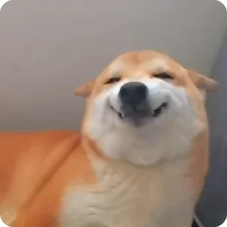 ☺️