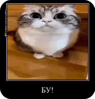 😨