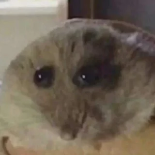 🫠
