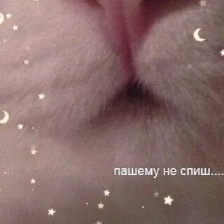 ❓
