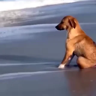 😞