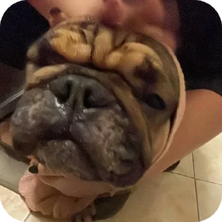 🤲