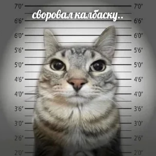 👮‍♀