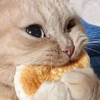 😋