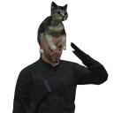 🐈
