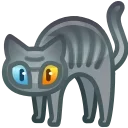 🐈‍⬛