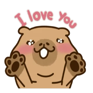 ❤️