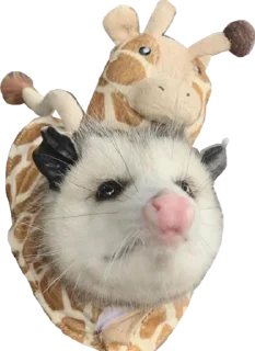 🦒