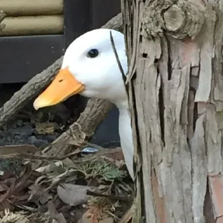 😦